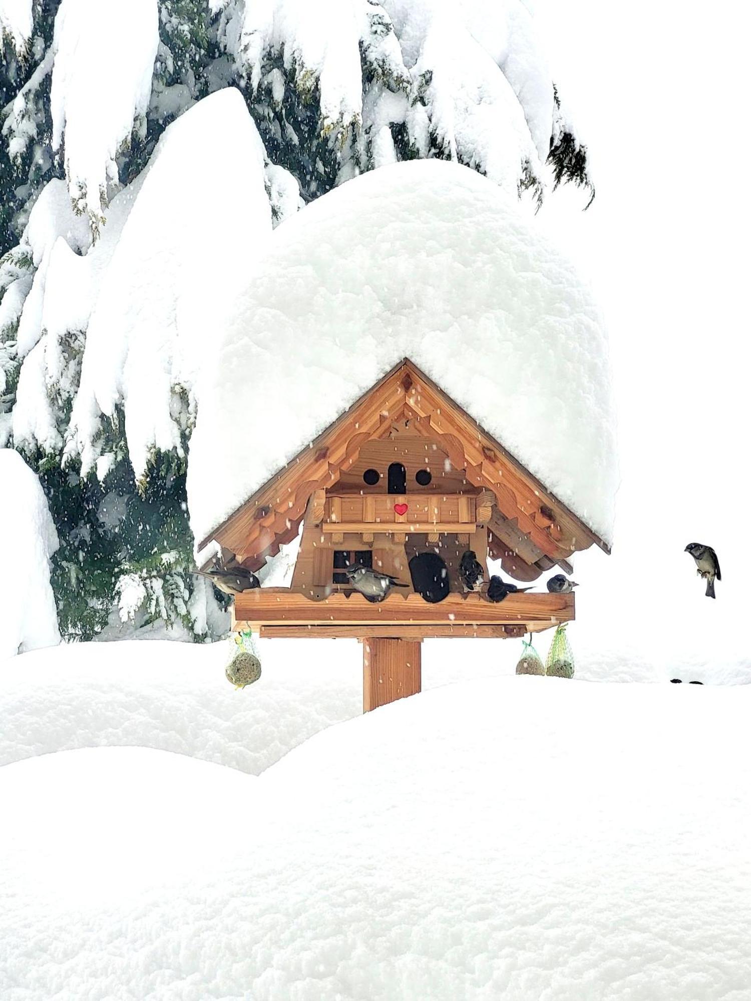 Gaestehaus Herma Ramsau am Dachstein Exterior foto